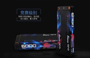 GS牌電池是哪個廠家的？